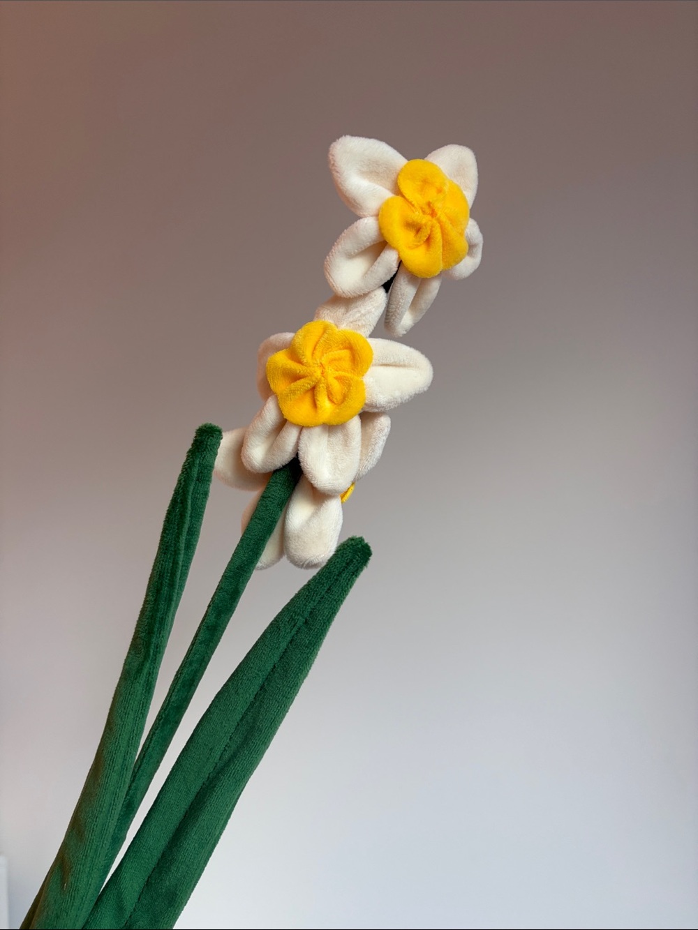 CJ Hendry Flower Market Daffodil Stem Pair in Yellow and Cream